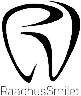 RaadhusSmilet